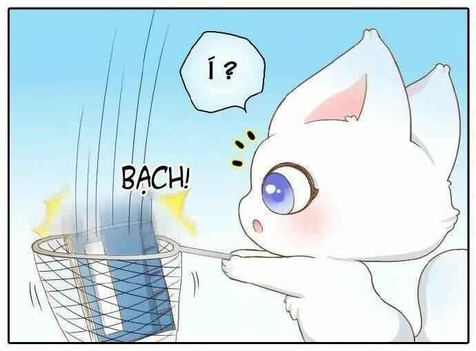 tiểu hồ ly vs tiểu hóa thượng chapter 58 18