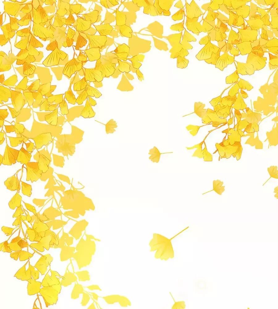 luyến đường thời quang chapter 64 1