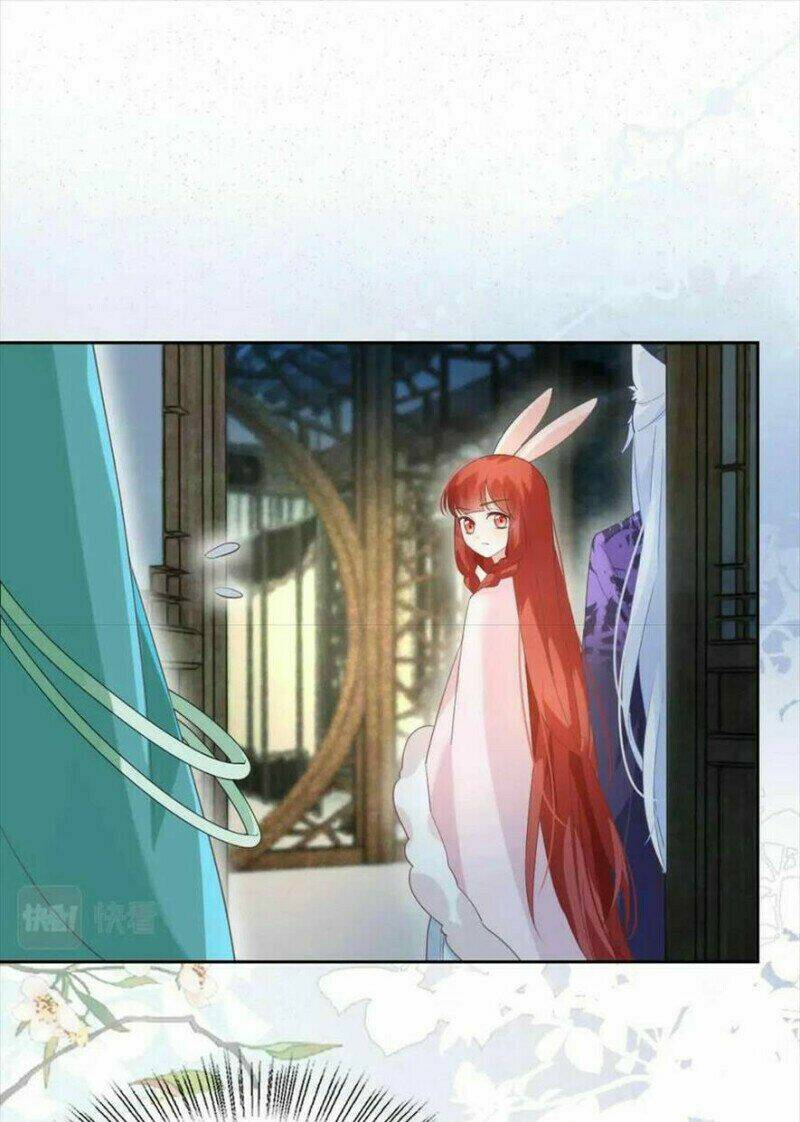 hắc hóa nam chính trực tuyến nuôi thỏ chapter 62 31