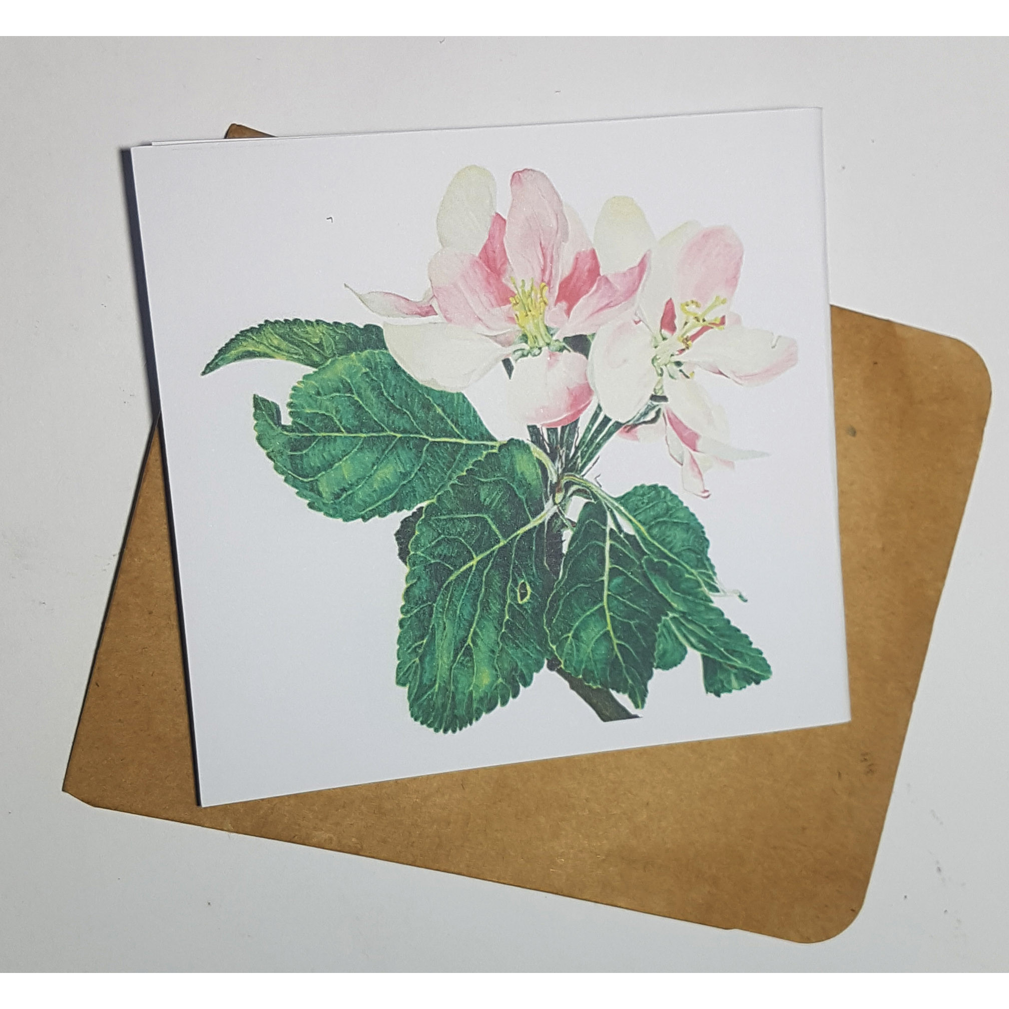 Thiệp phong cách Vintage card quà cám ơn ,chúc mừng sinh nhật và giử tặng người thân yêu.