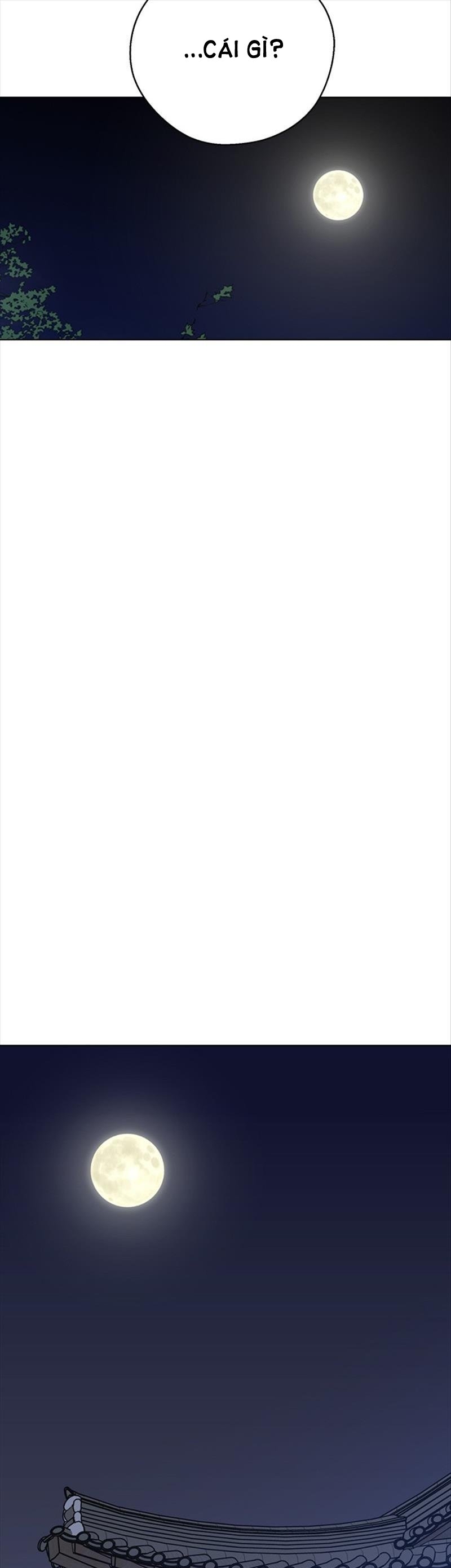 nhân duyên kiếp trước chapter 48.2 15