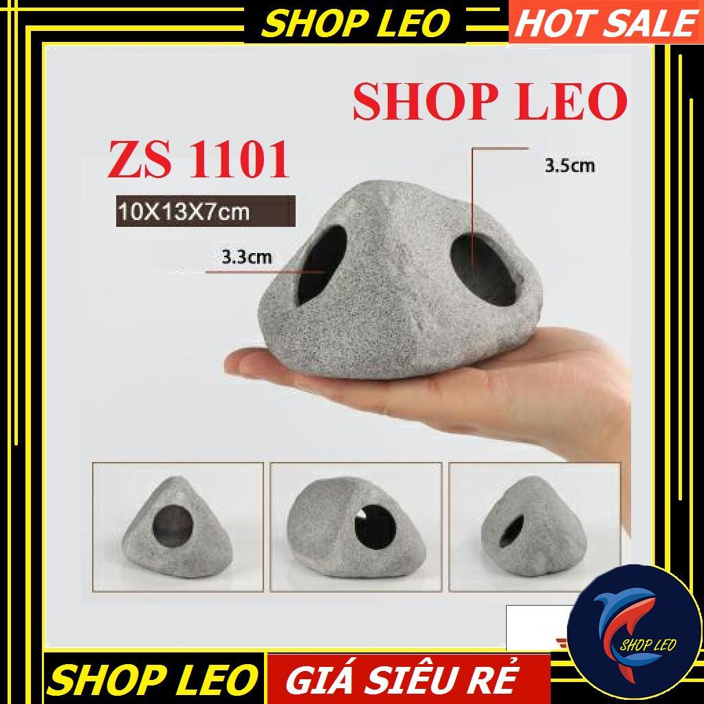 Hang cá ali - hang pleco - trang trí bể tép - bể thủy sinh - hồ cá cảnh