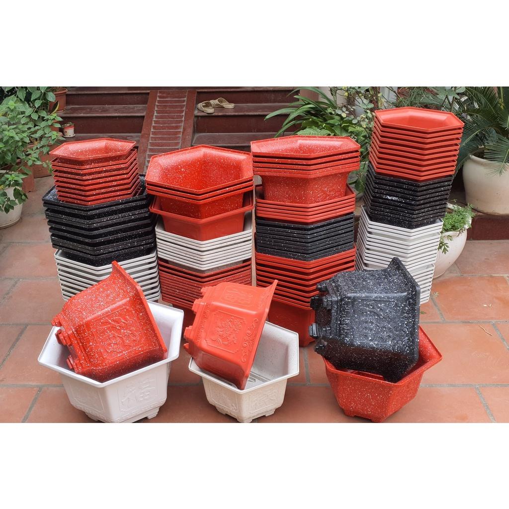 Chậu nhựa Bonsai Lục giác 350 đỏ