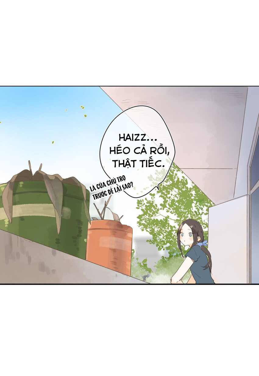 tiệm hoa hướng dương ở góc phố chapter 1 19