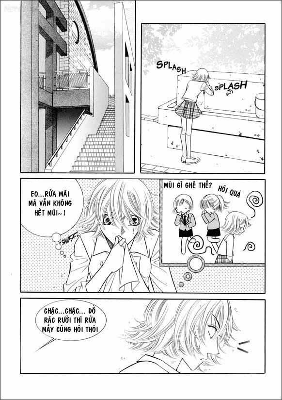 can't lose you chapter 1 16