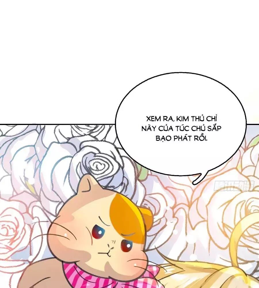 hệ thống công lược của tiểu công chúa chapter 14 36