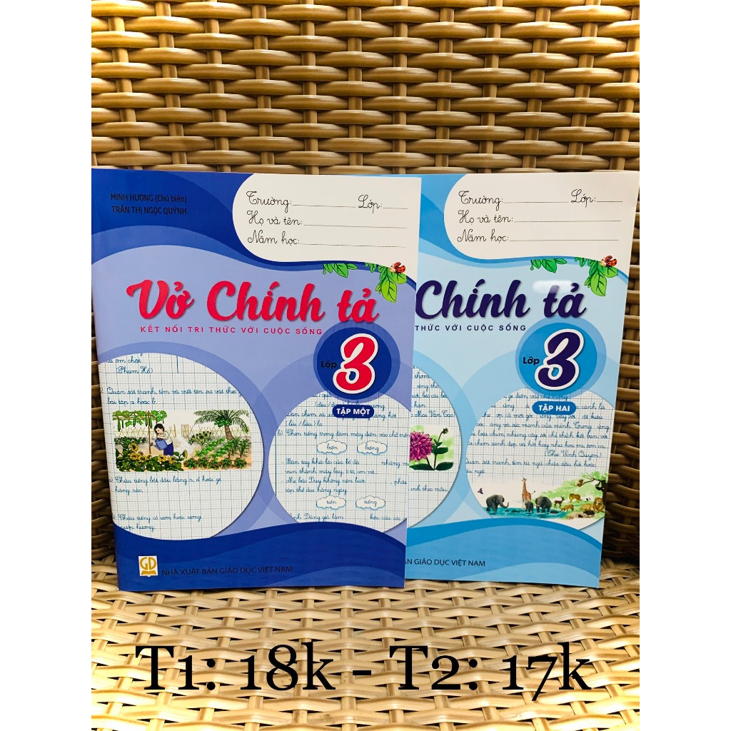 Sách - Combo 2 cuốn Vở luyện viết chính tả 3 ( kết nối tri thức ) (BT)