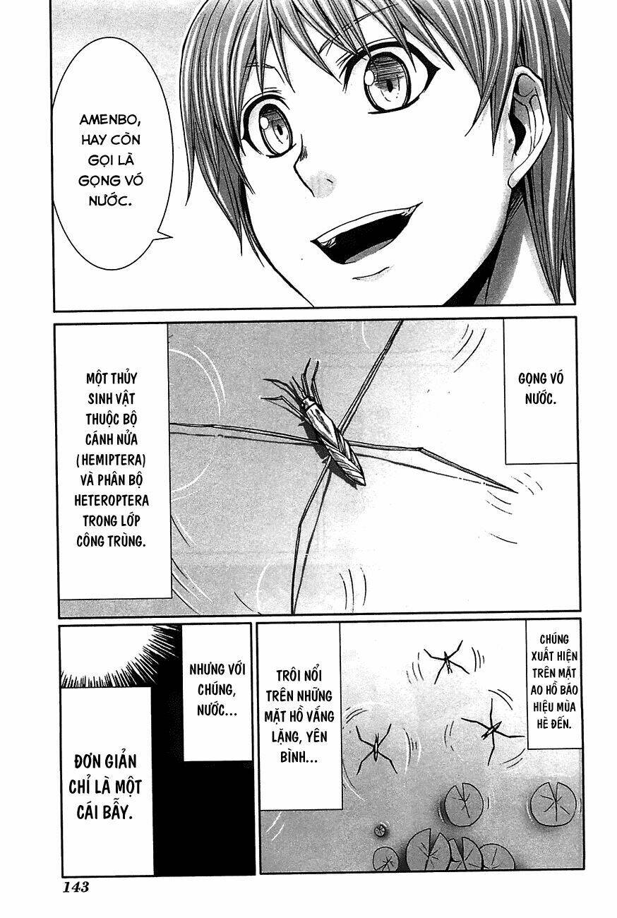 arachnid chapter 19 32