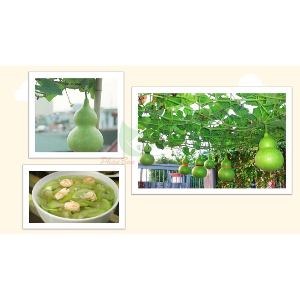 Hạt Giống Bầu Hồ Lô - Phú Nông Seeds - Shop Phân Bón và Hạt Giống