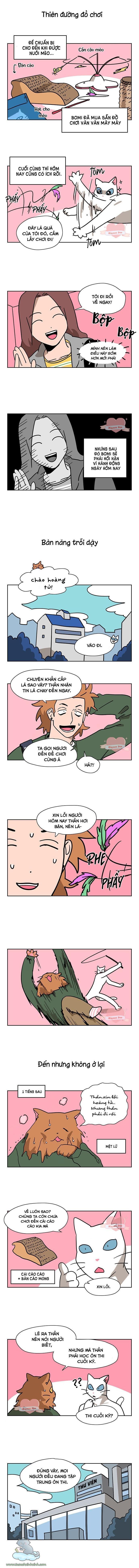 hoàng tử mèo chapter 16 1