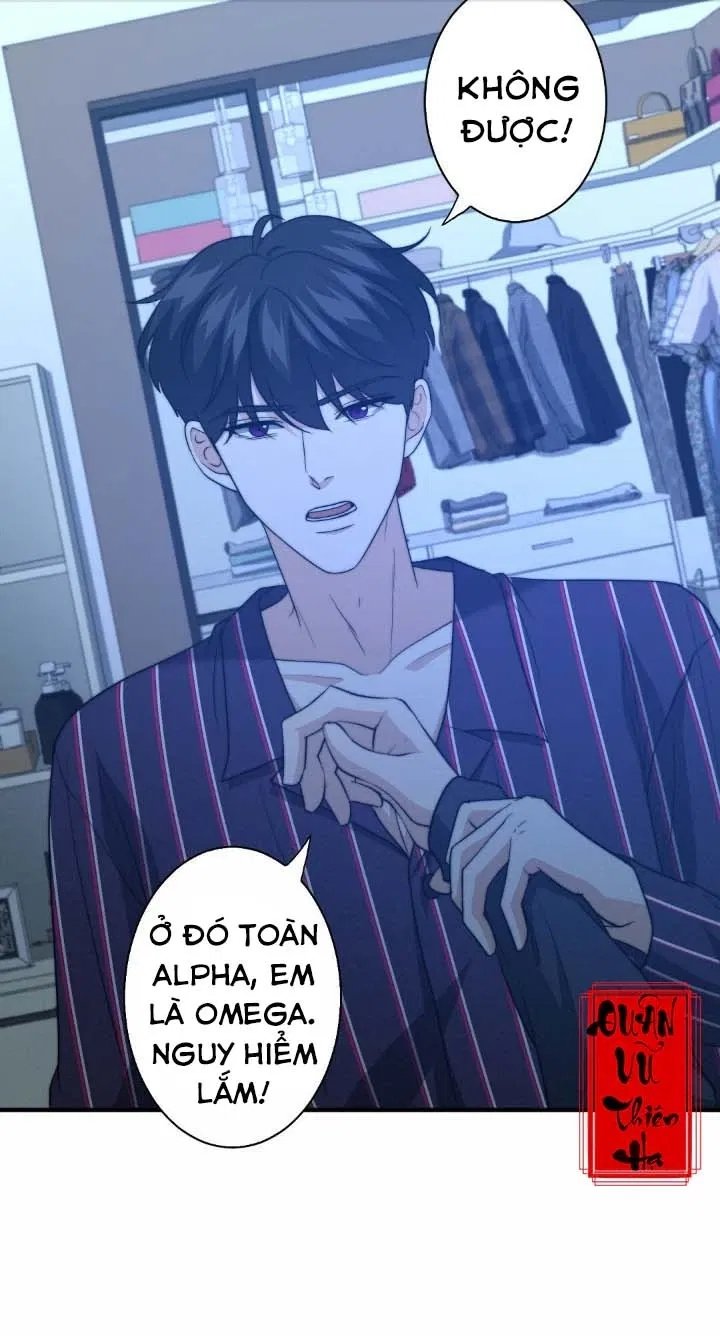 bí mật của omega k chapter 27 15
