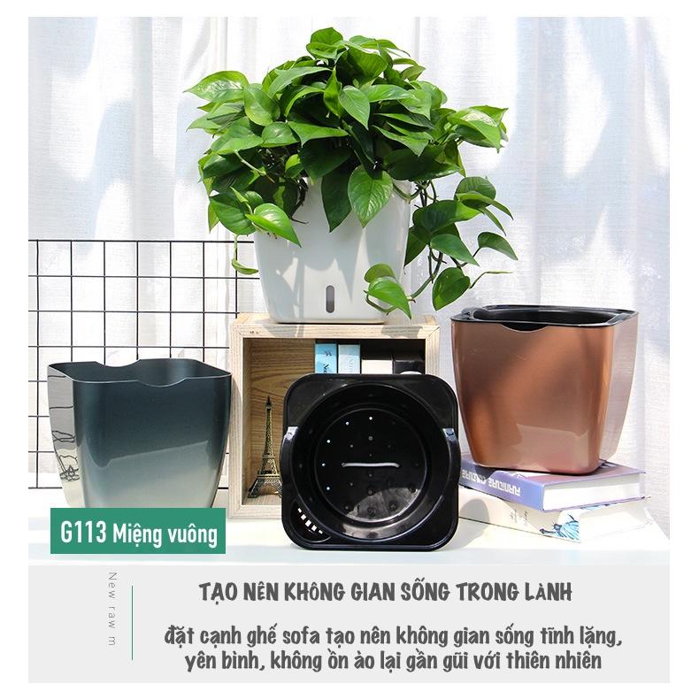 Chậu trồng cây Oliz G113. Chậu trồng cây thông minh tự tưới