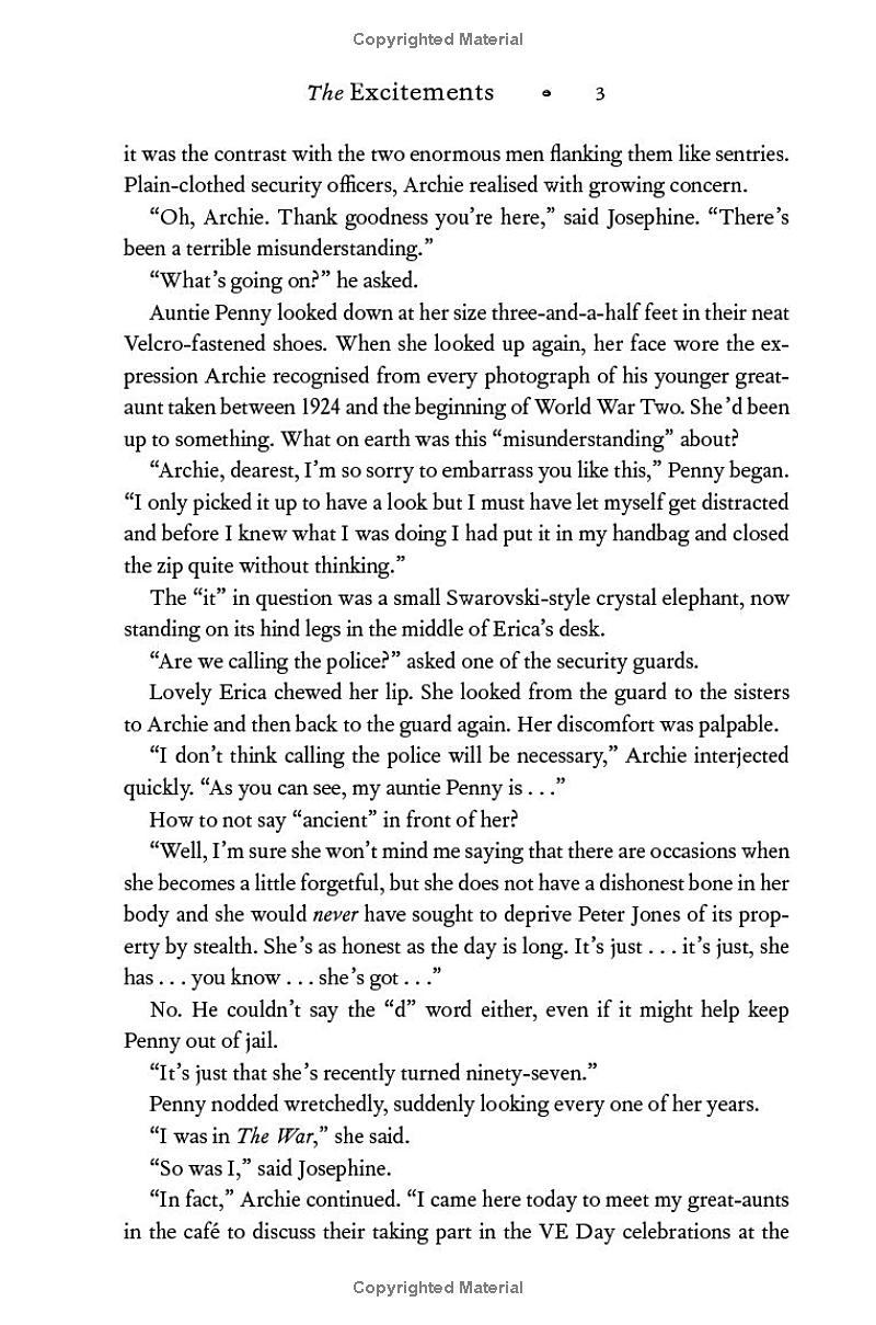 Sách ngoại văn: The Excitements - CJ Wray