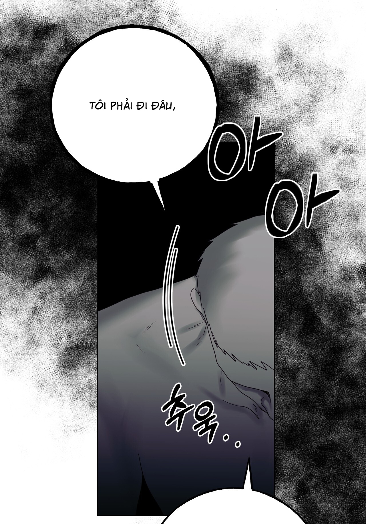 hợp đồng hôn nhân với hai người chồng chapter 13.1 38