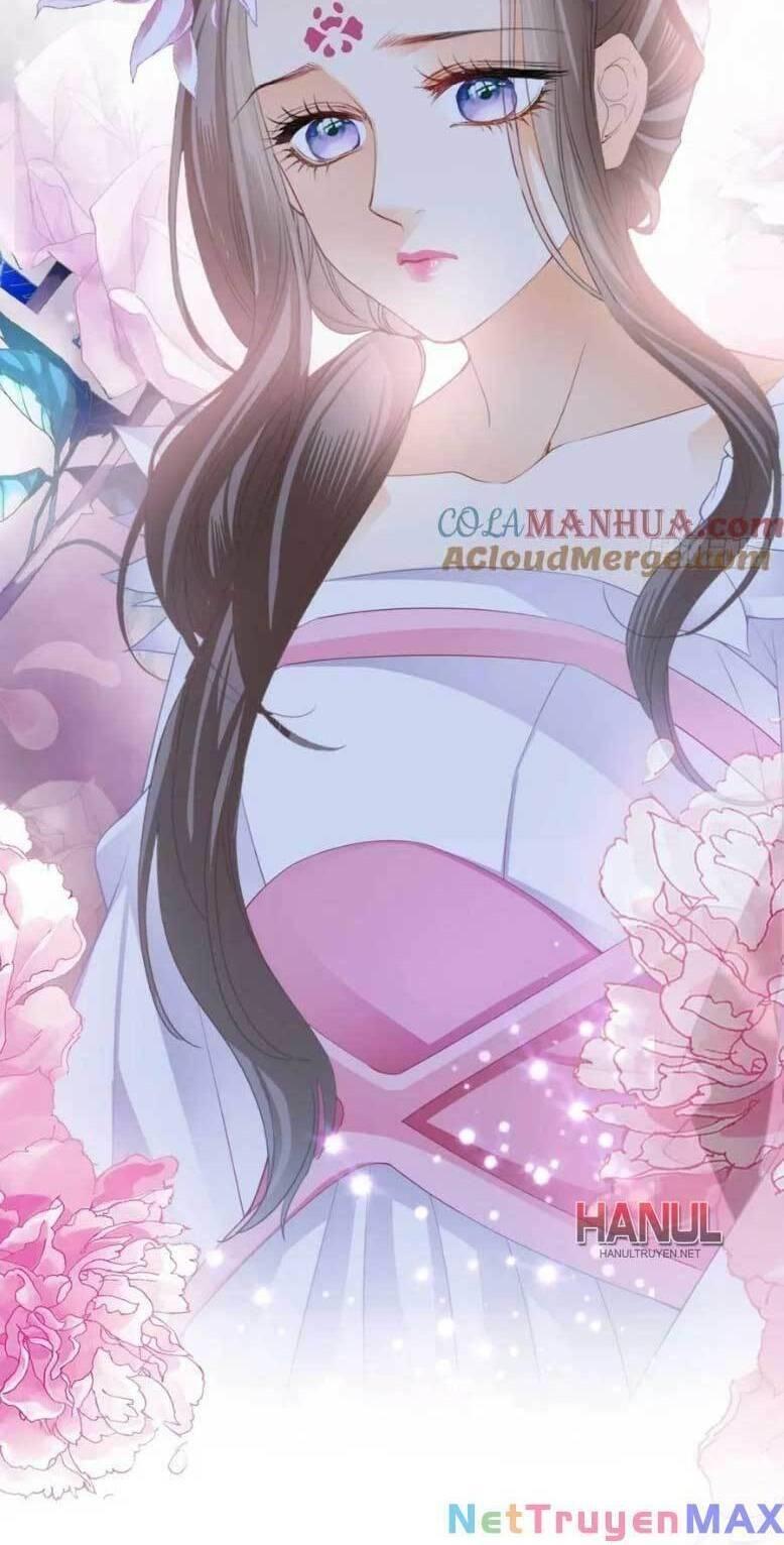 bổn vương muốn nàng chapter 204 12