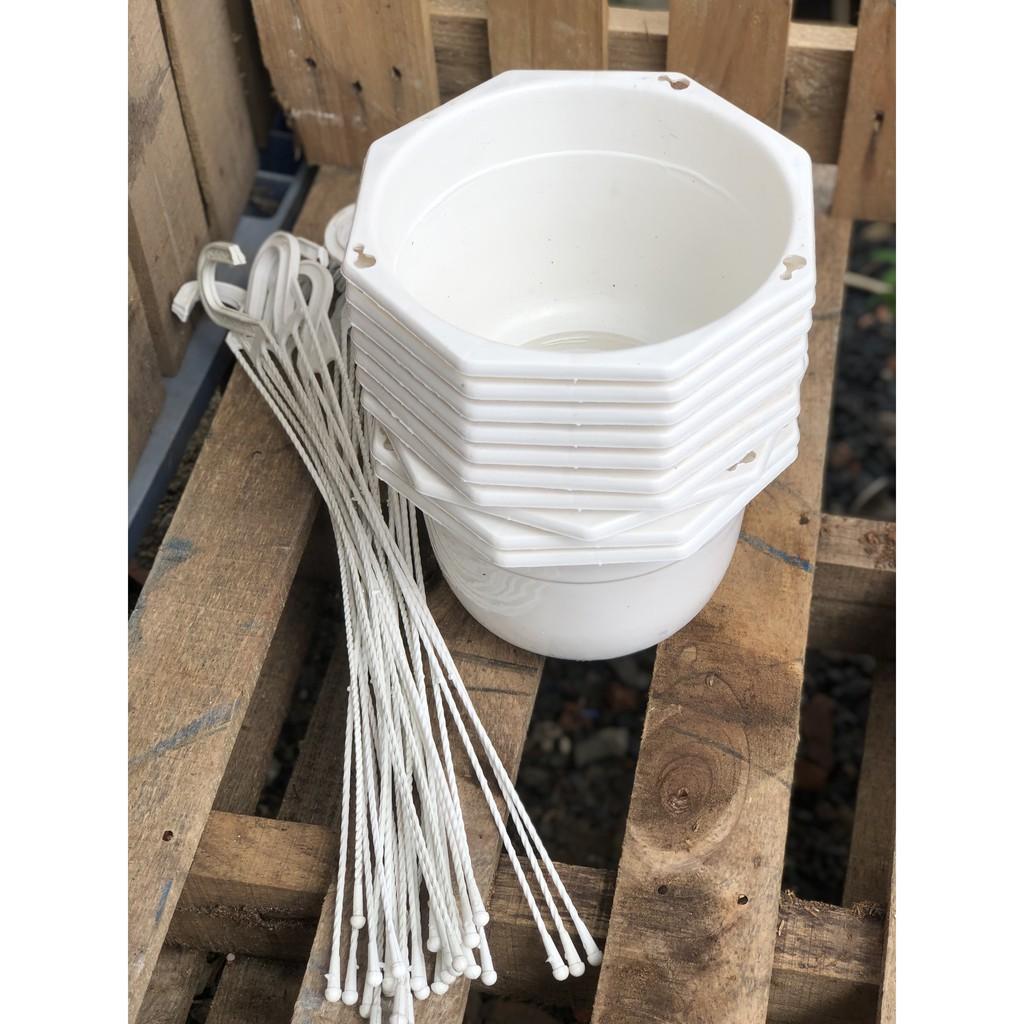 Bộ 10 chậu treo trồng cây kích thước 20 x 15 cm
