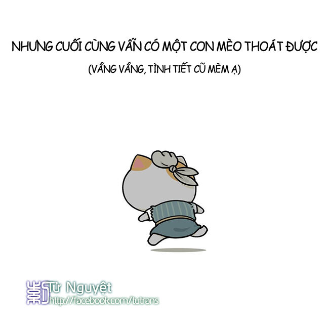 nếu lịch sử là một bầy mèo chapter 6 28