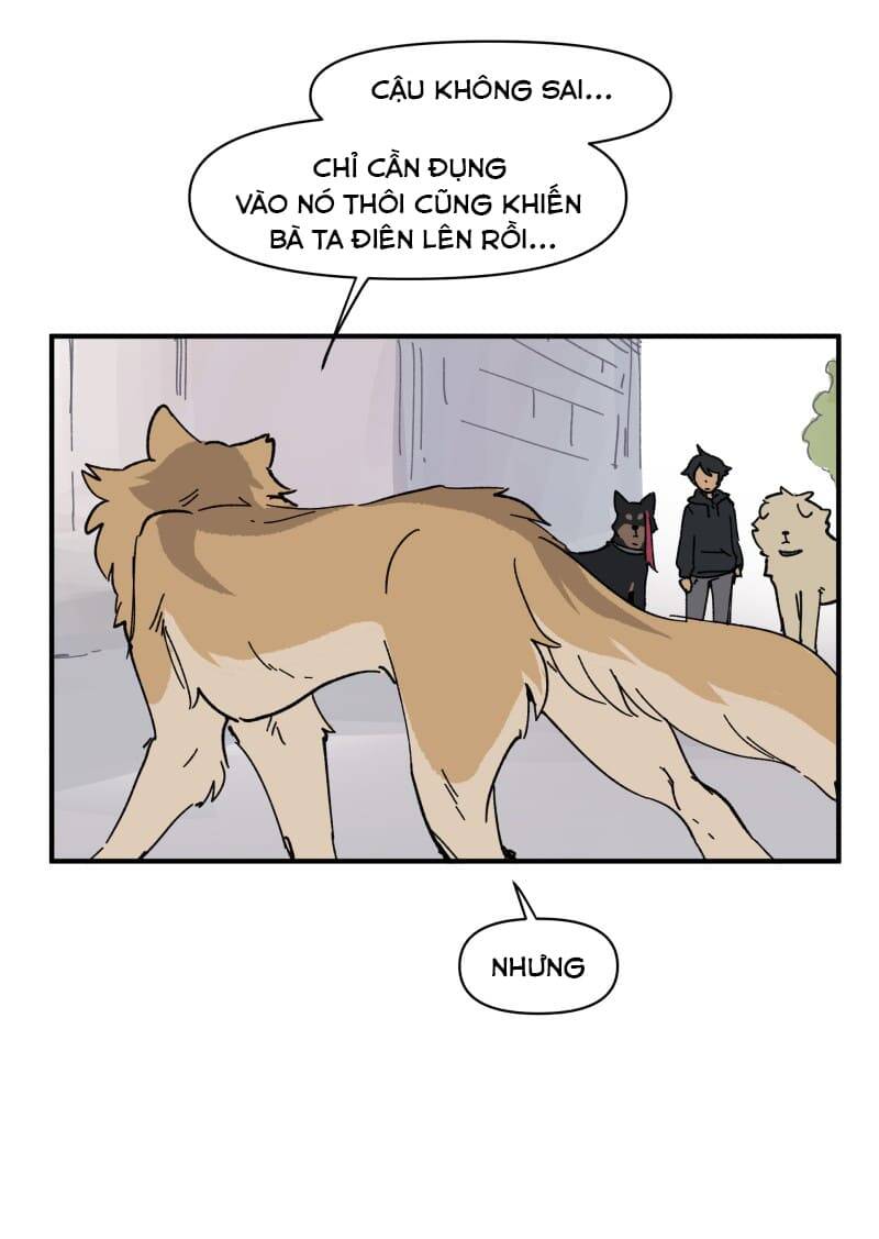 lumine - cội nguồn ánh sáng chapter 153 16