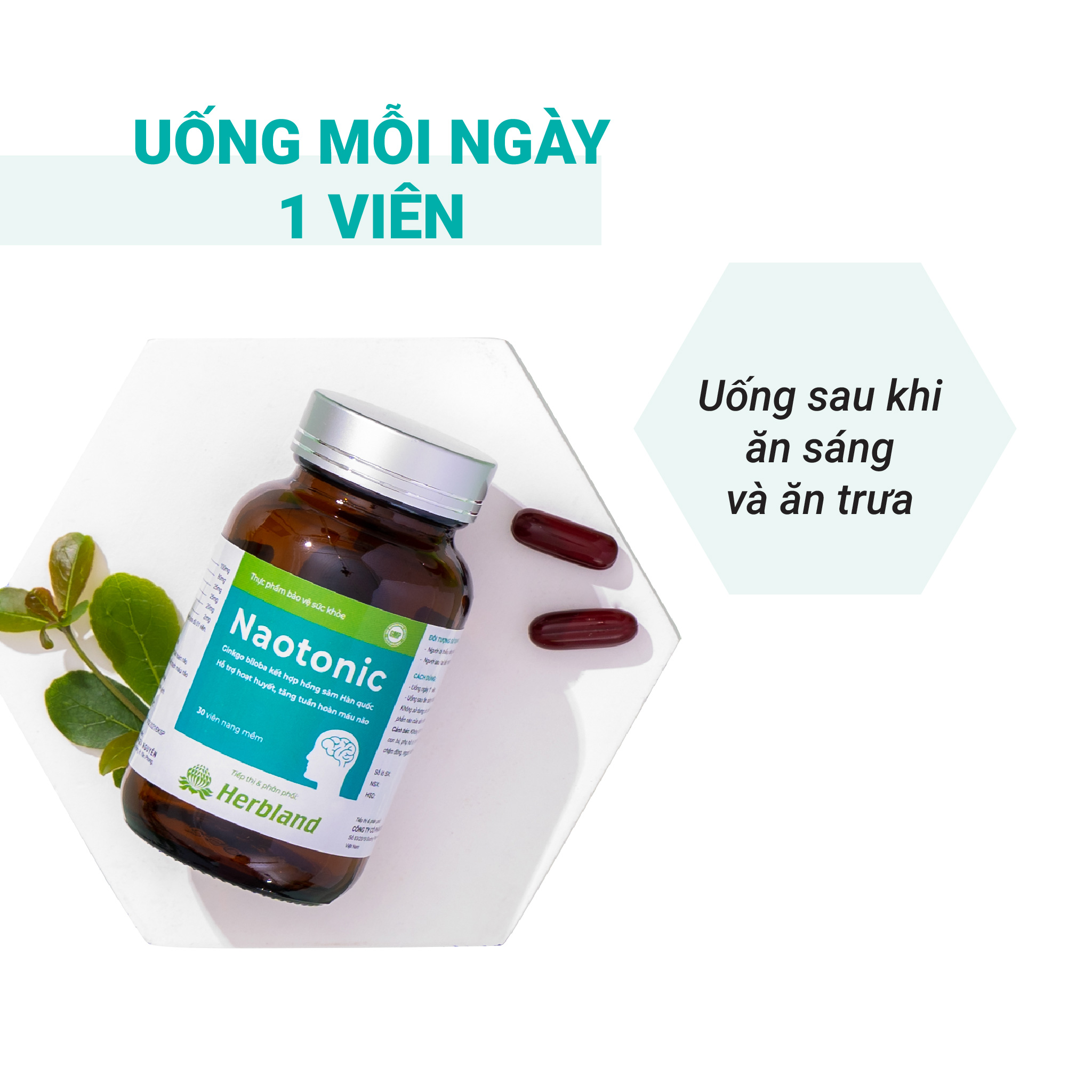 Viên bổ não NAOTONIC Hỗ trợ hoạt huyết, Tăng tuần hoàn não