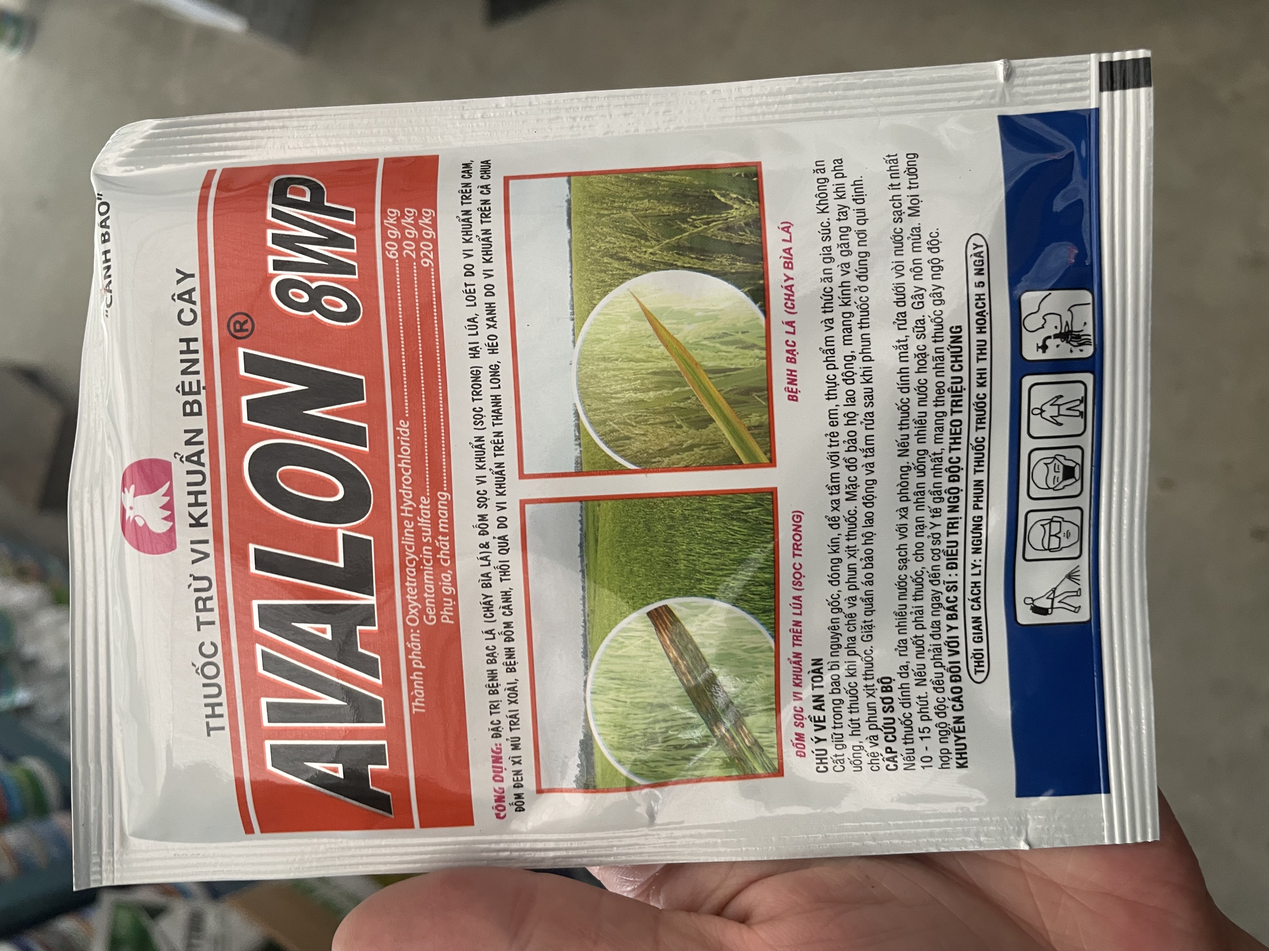 Thuốc trừ vi khuẩn bệnh Avalon 8WP Đặc trị bệnh bạc lá (cháy bìa lá), đốm sọc vi khuẩn trên lúa, thối trái trên thanh long, héo xanh trên cà chua.