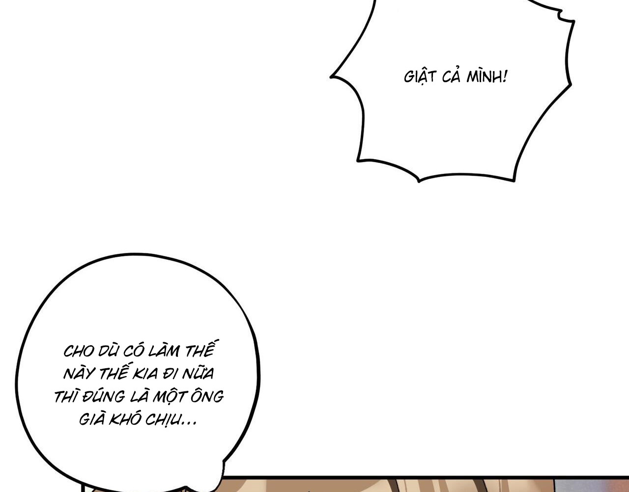 chàng dâu nhà họ kang chapter 37 131