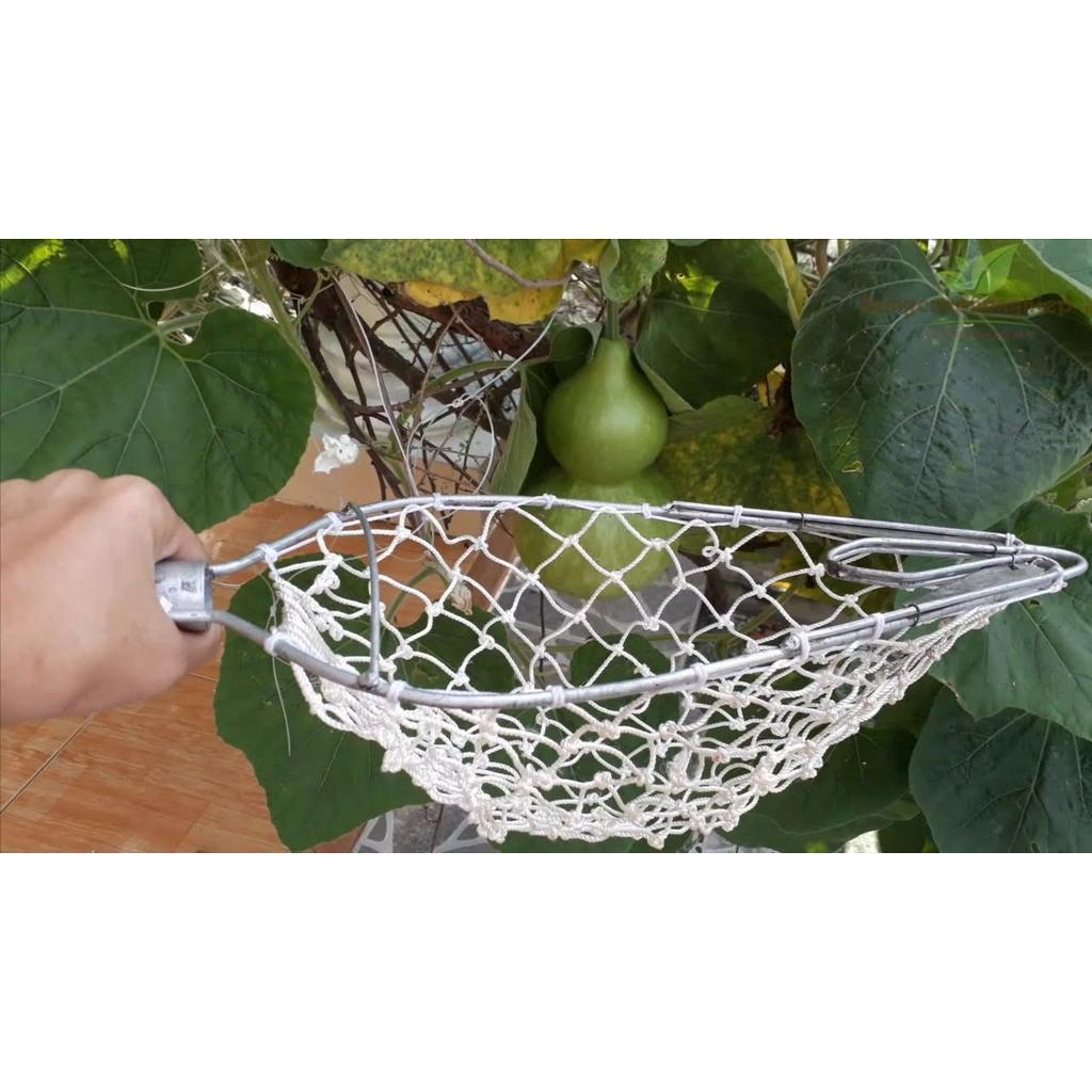 Lồng Hái Trái Trên Cao 2 dao cắt cuống - Bền rẻ đẹp tiện dụng,