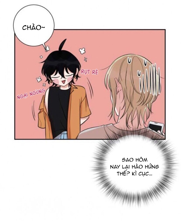 khẩu vị và sự tôn thờ của người yêu tôi chapter 20 4