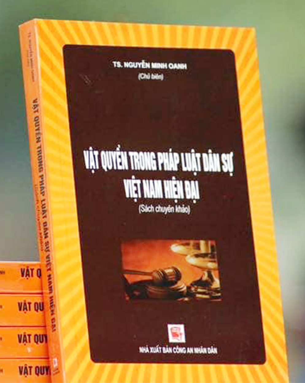 Vật Quyền Trong Pháp Luật Dân Sự Việt Nam Hiện Đại