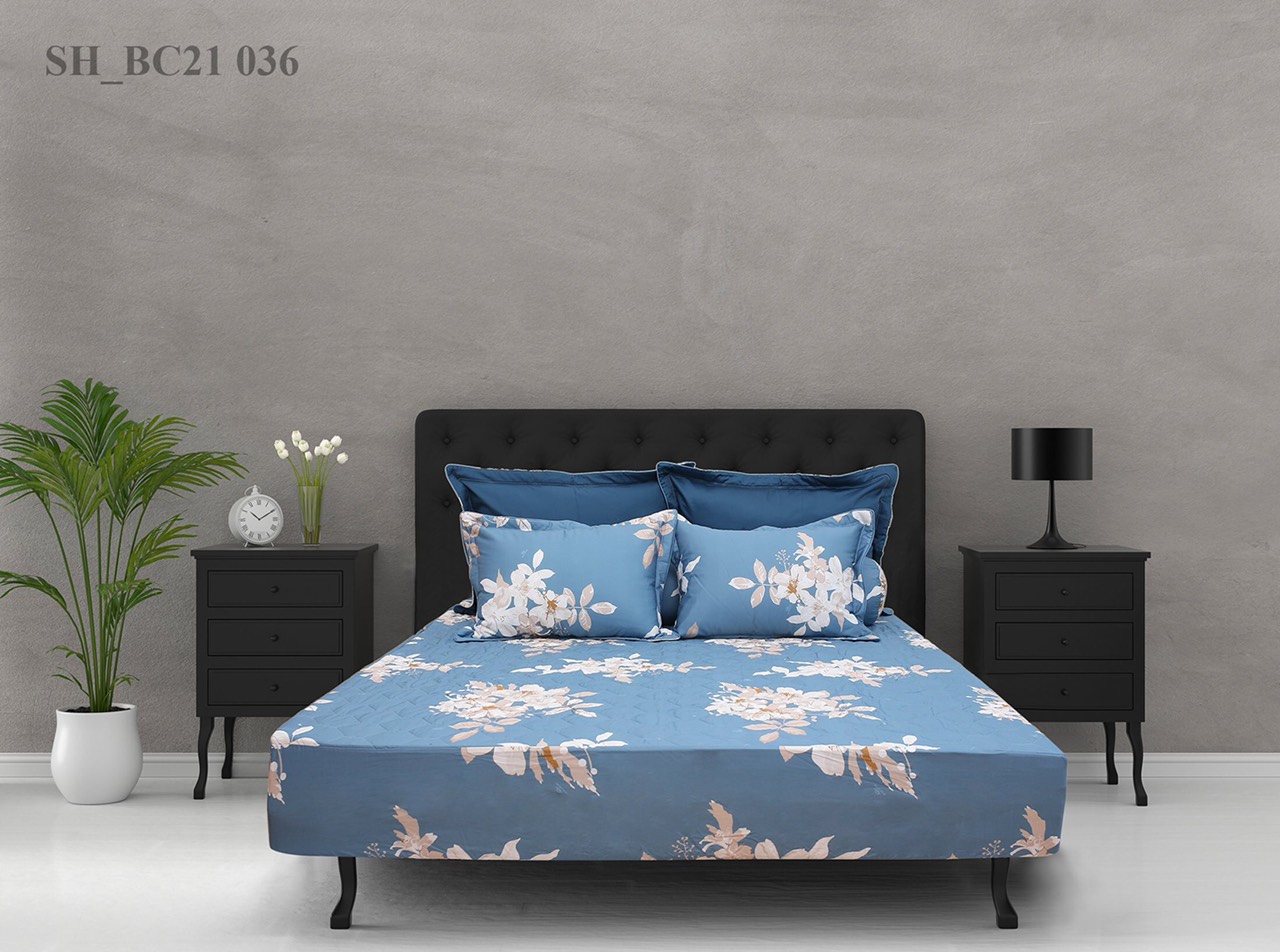 Bộ ga chun chần cotton Sông Hồng 120cm x 190cm