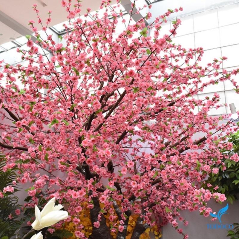 Cành đào giả trang trí tết decor phòng khách cao cấp chụp ảnh đẹp dài 65 - 120cm H00