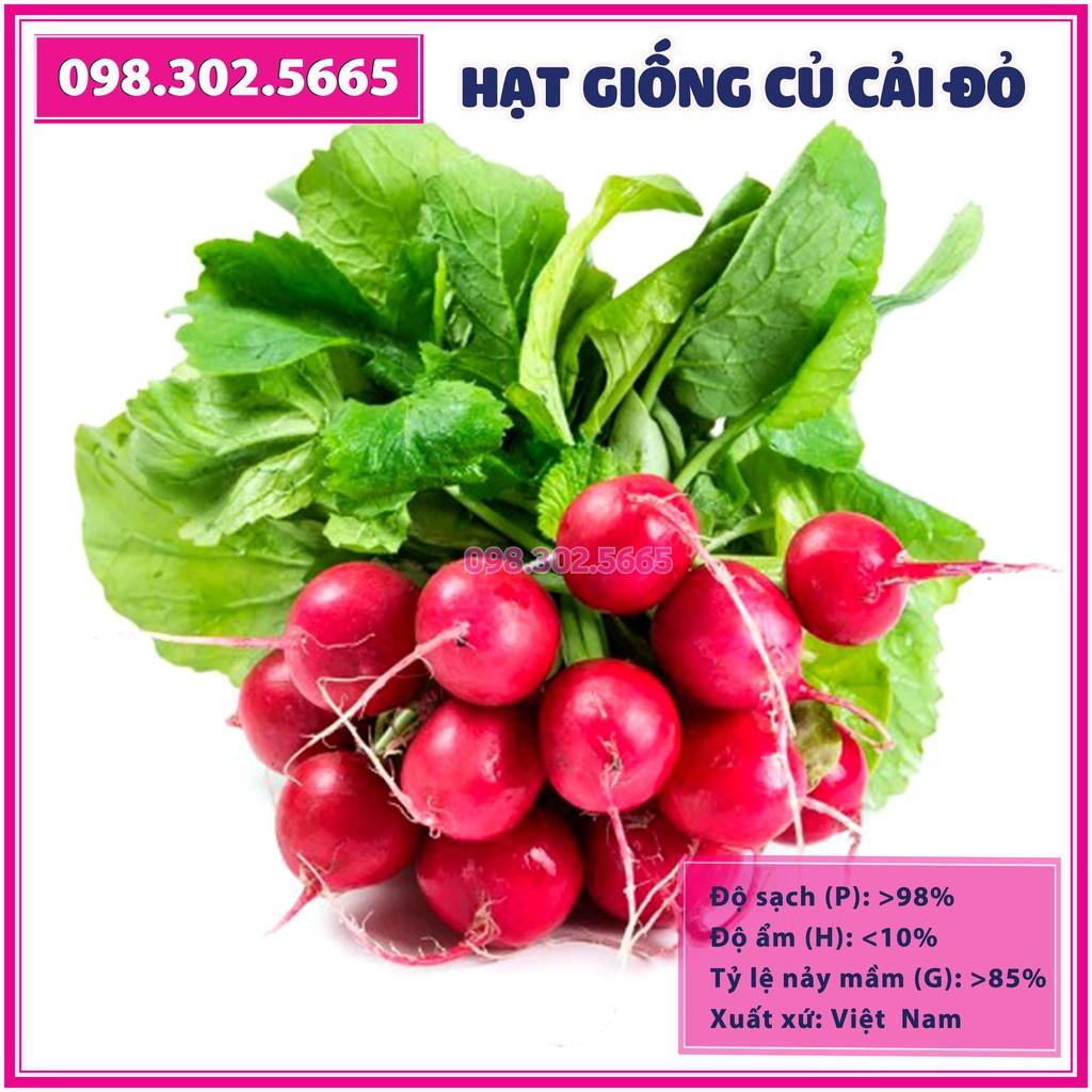 Hạt giống củ cải đỏ tròn F1 - gói 5g - dễ trồng, dễ chăm sóc, năng suất cao