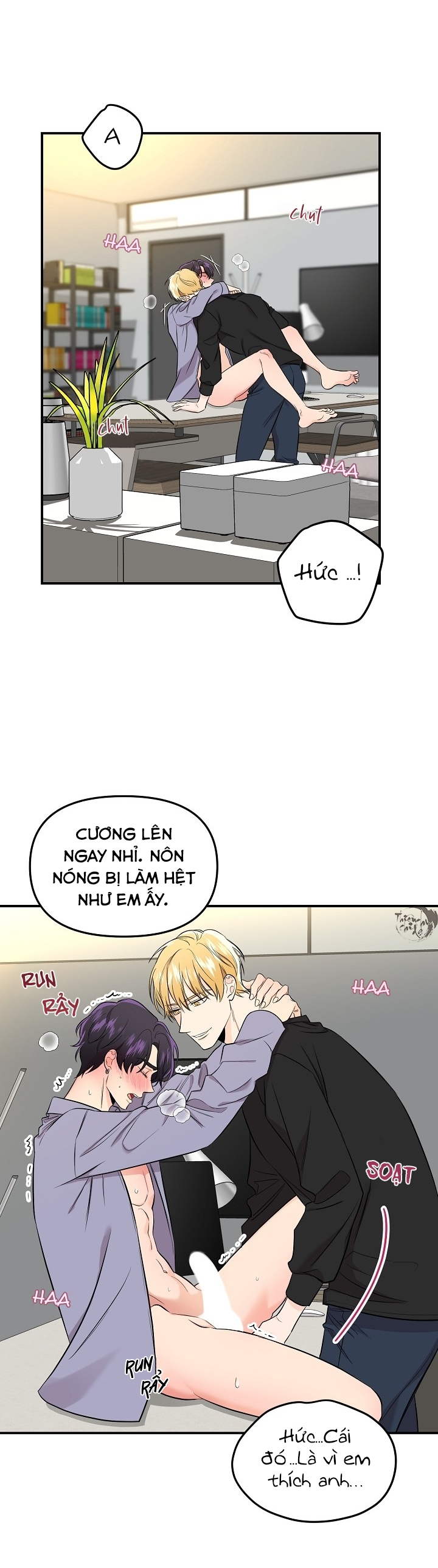 hoa ly hổ chapter 32 10