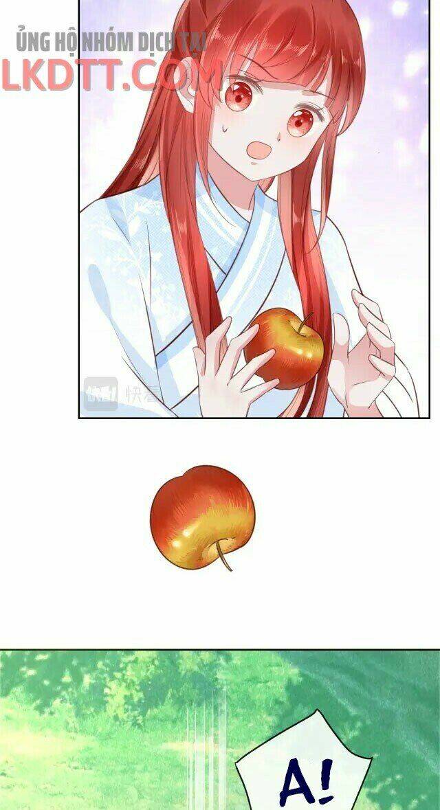 hắc hóa nam chính trực tuyến nuôi thỏ chapter 24 3