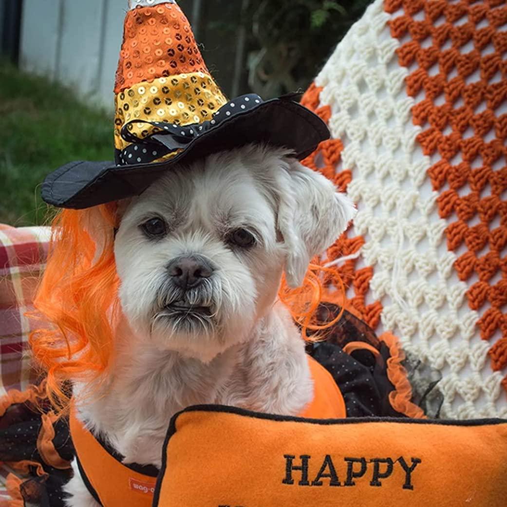 Mũ phù thủy cho mèo với tóc, trang phục Halloween cho thú cưng cho những người đứng đầu ngày lễ với mũ trùm đầu vui vẻ, mũ của Sorcerer cho mèo con