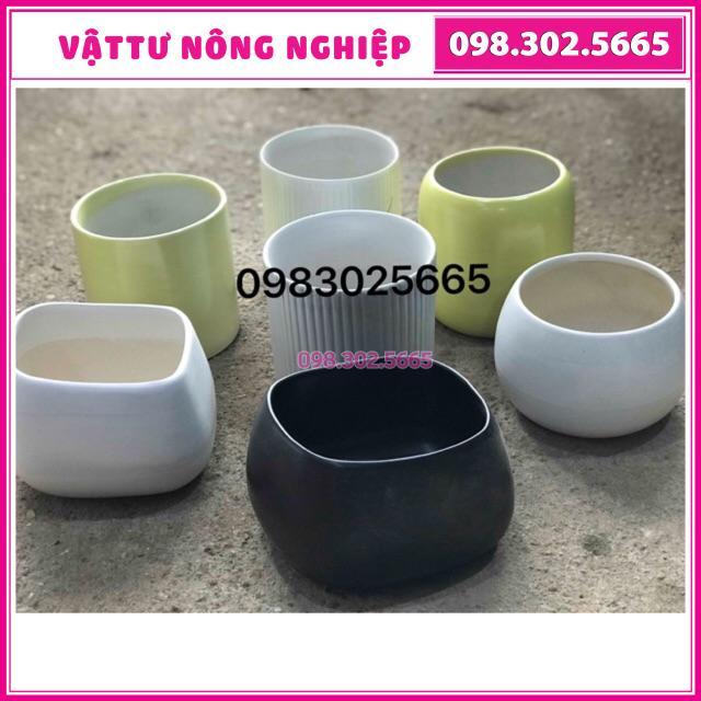 Combo 2 chậu sứ men mát cao cấp trồng cây