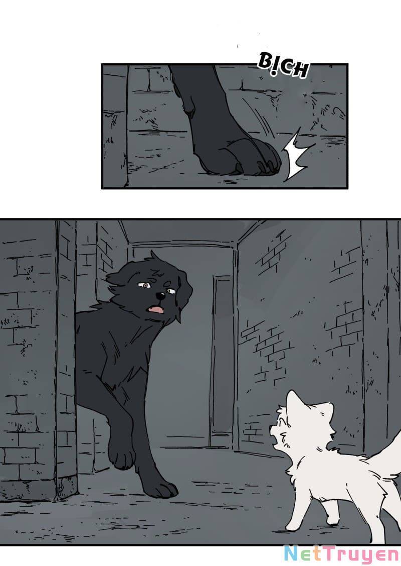 lumine - cội nguồn ánh sáng chapter 160 6