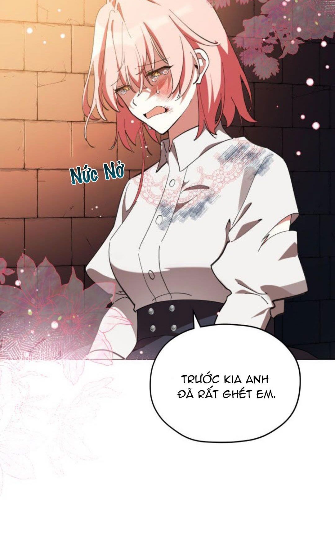 quý cô không thể chạm vào chapter 1 35