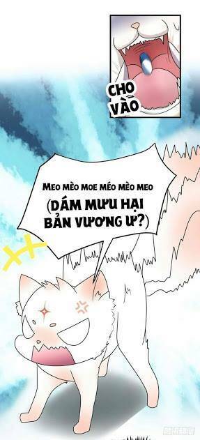 chinh phục bạn trai sao chổi chapter 2 23