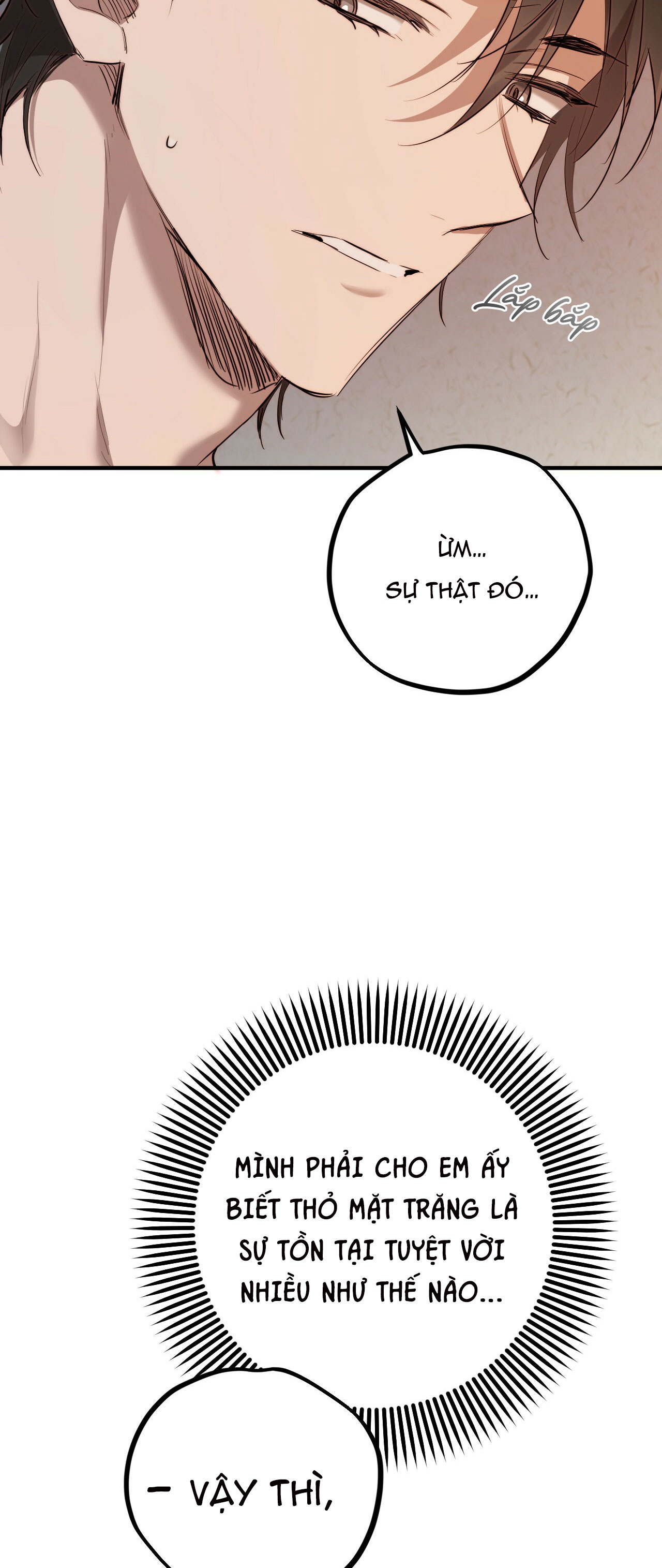 những chú thỏ của hapypy chapter 27 37