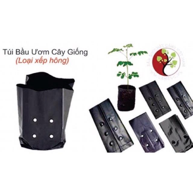 1KG TÚI BẦU ƯƠM MÀU ĐEN , DÙNG ĐỂ ƯƠM CÂY ĂN QUẢ , CÂY CẢNH ,KÍCH THƯỚC BẦU 11x13
