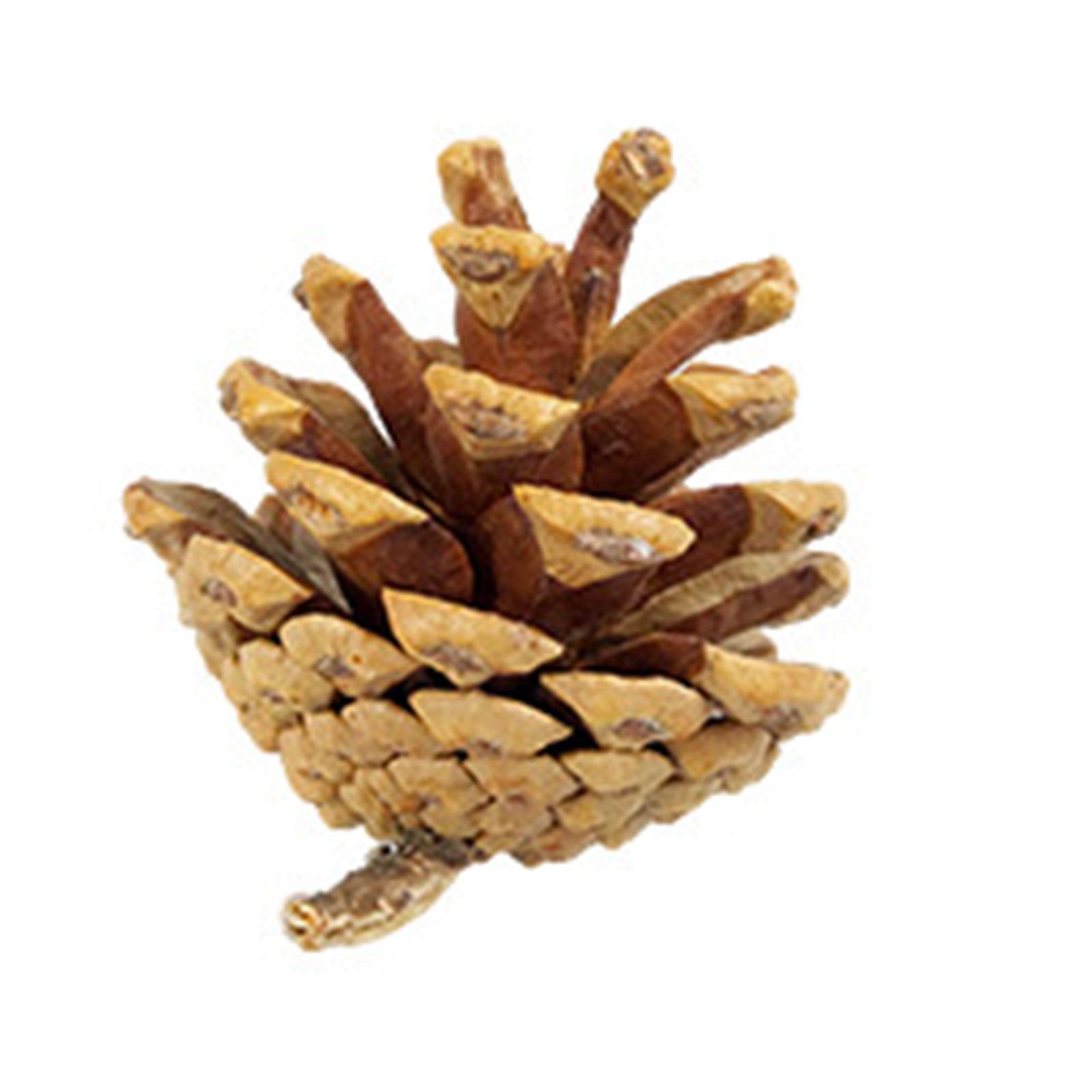 9pcs Hamster Chew Toys Set Chinchillas Toys Teeth Care for Pets Playing