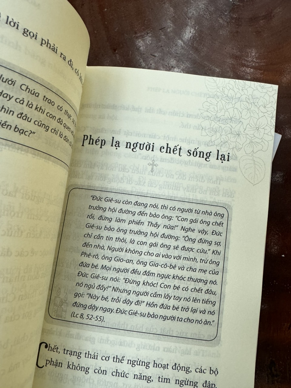 (Combo 2 cuốn) TRI THỨC ĐỨC TIN và TU THÀNH – THÀNH TU – Tác giả Kẻ Tu Đời – Thái Hà Books