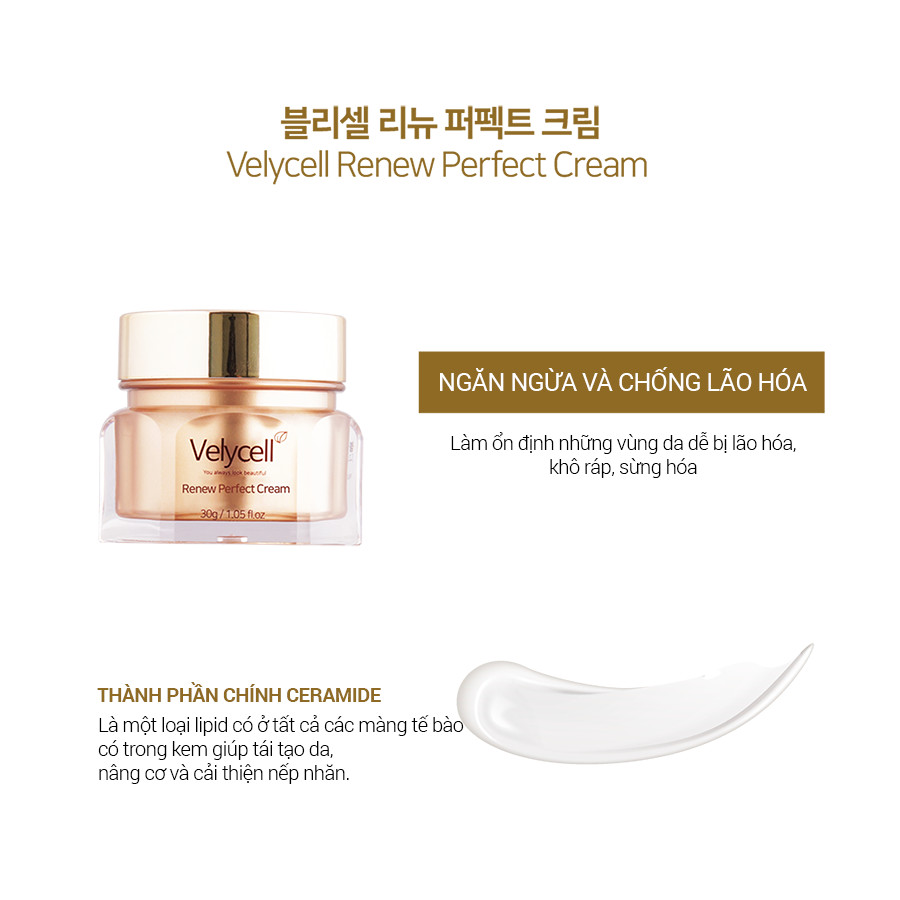 Kem dưỡng da Velycell Renew perfect cream 30ml