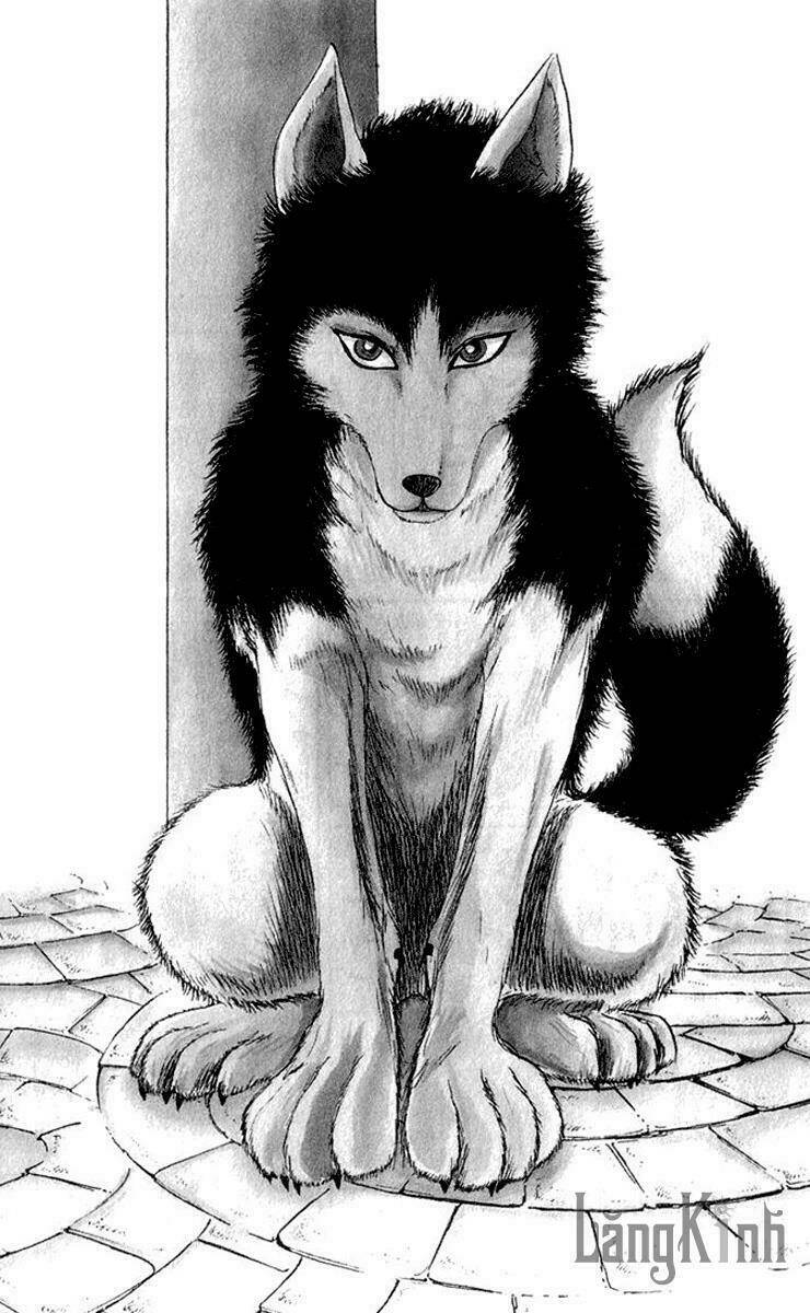 wild half chapter 1 12