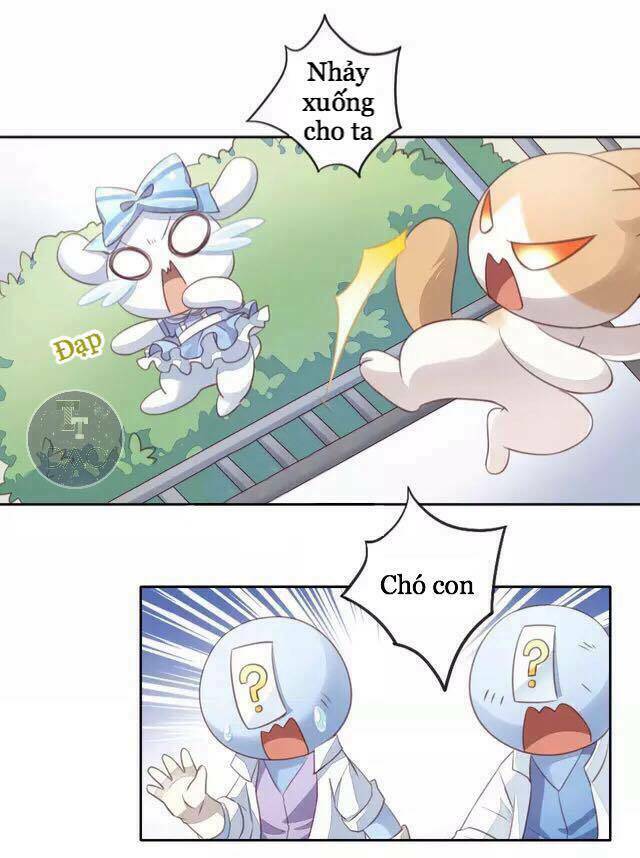 dưới móng vuốt mèo chapter 15 37