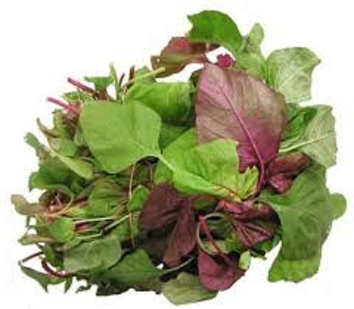 Hạt giống rau dền khoang dể trồng- gói 20 gram
