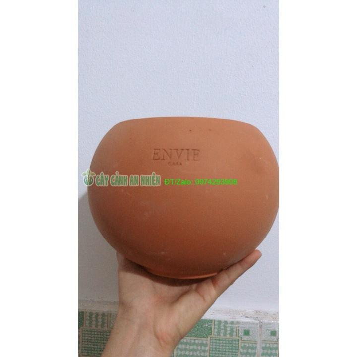 Chậu Đất Nung Trồng Cây