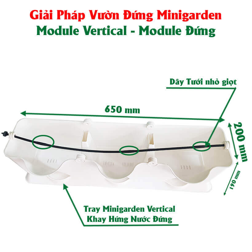 CHẬU MODULE TRỒNG RAU BAN CÔNG NHẬP KHẨU BỒ ĐÀO NHA