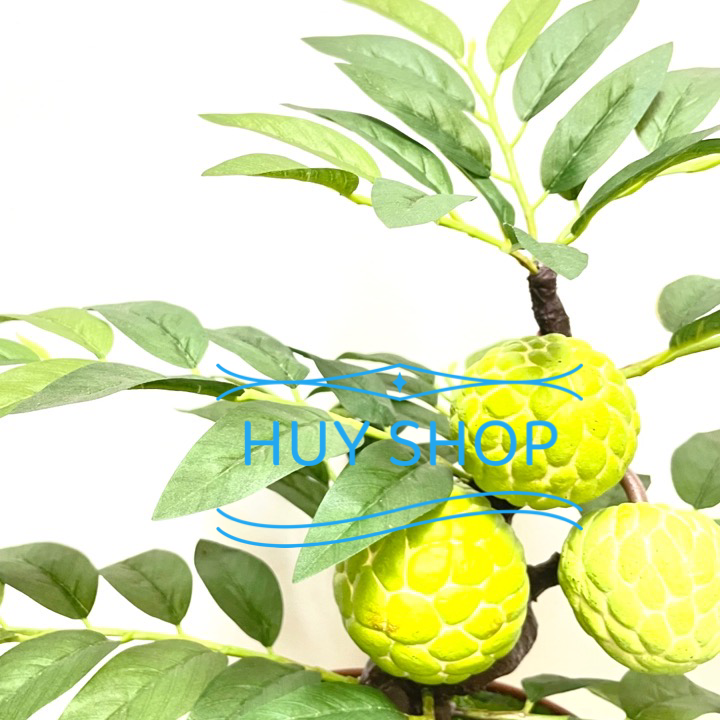 CHẬU CÂY TRÁI MÃNG CẦU NHÂN TẠO SỐ 1 TRANG TRÍ NHÀ CỬA