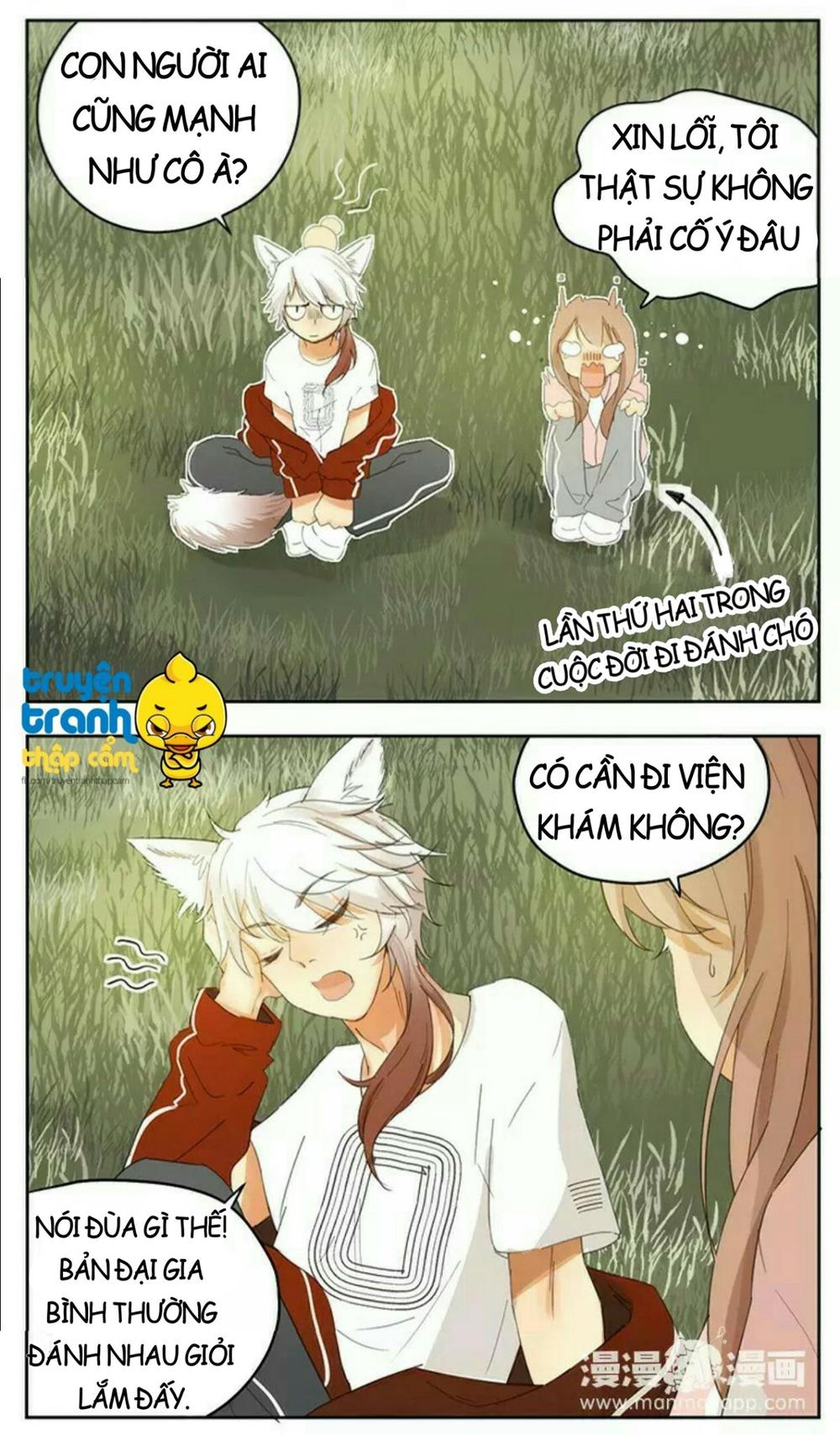 cứu mạng ! loài mèo thống trị thế giới rồi ! chapter 39 3